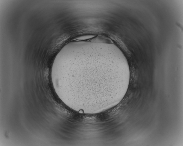 X0000097820066200804041408