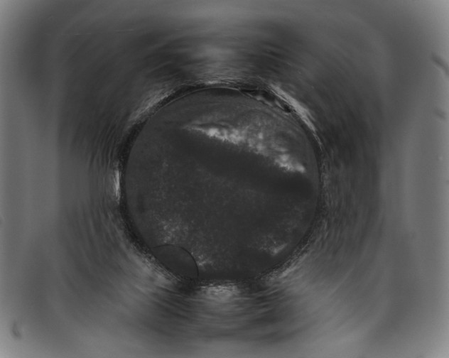 X0000097820067200804041408