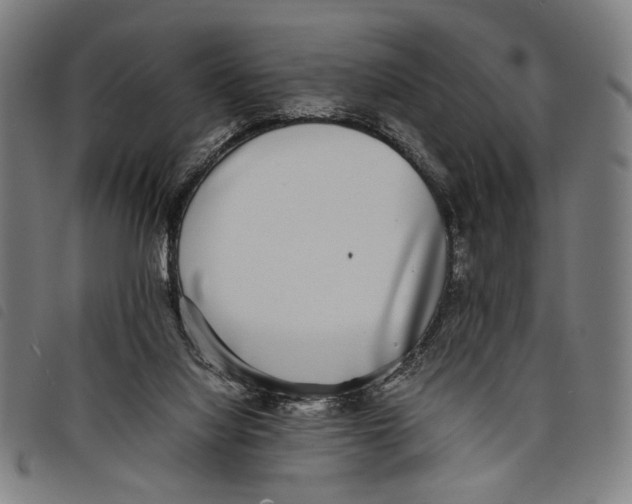 X0000097820068200804041408