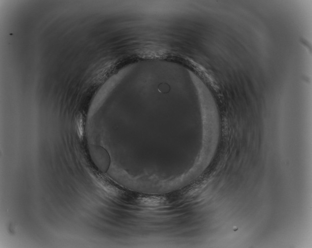 X0000097820069200804041408