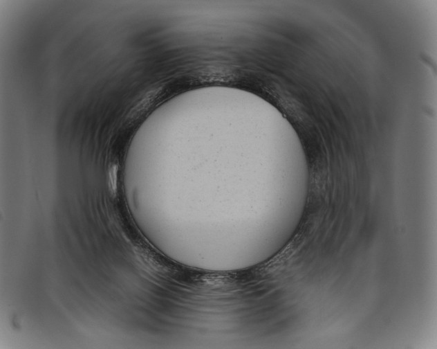 X0000097820070200804041408