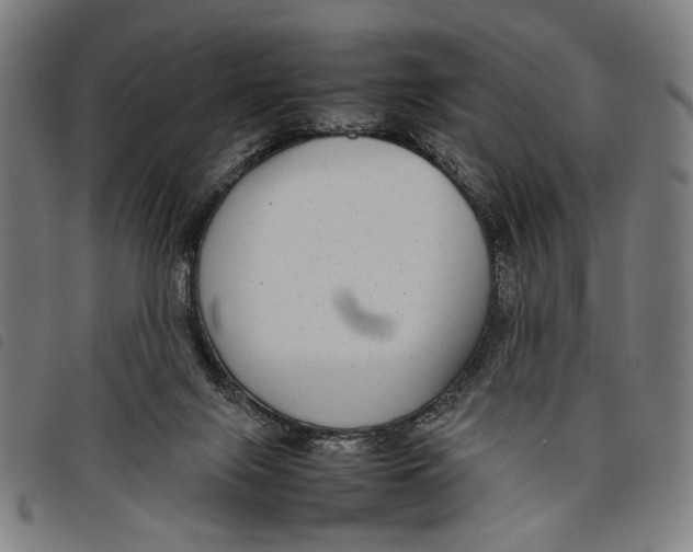 X0000097820071200804041408