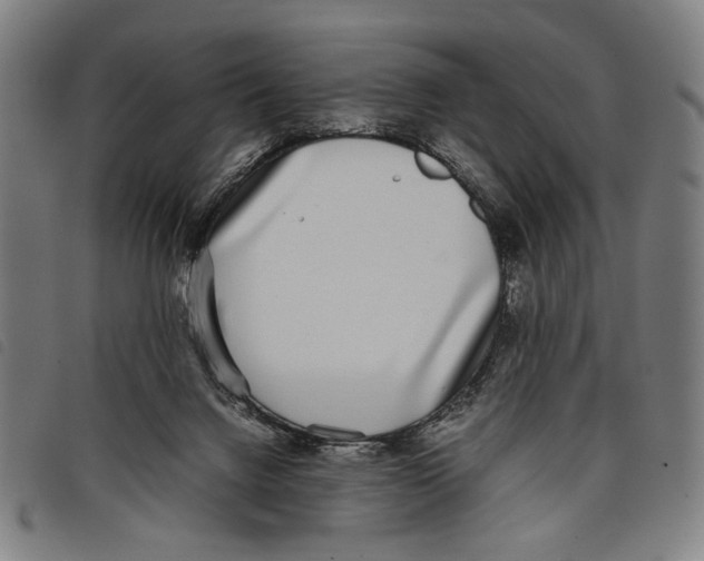 X0000097820072200804041408