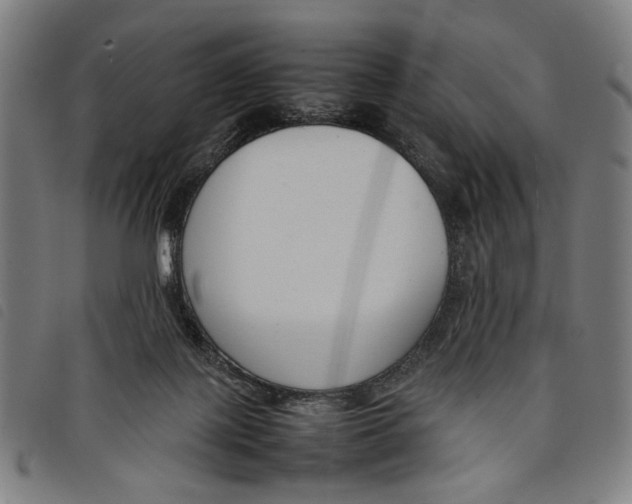 X0000097820075200804041408