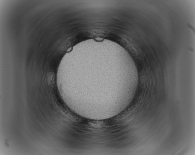 X0000097820079200804041408