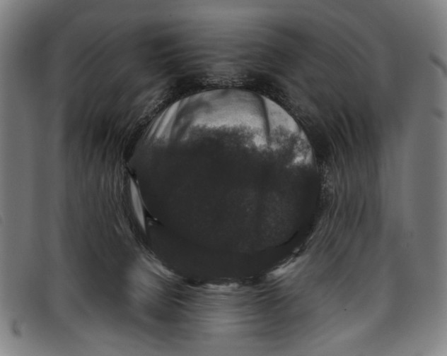 X0000097820080200804041408