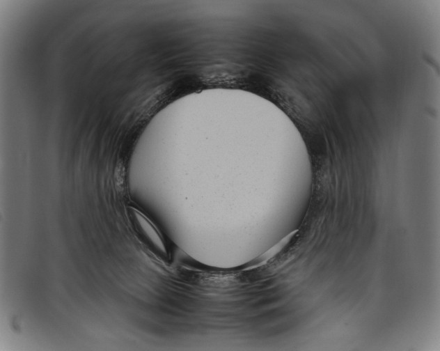 X0000097820081200804041408