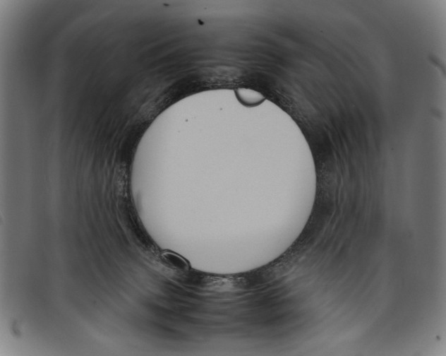 X0000097820083200804041408