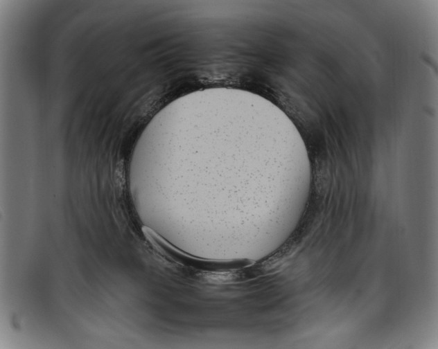 X0000097820085200804041408