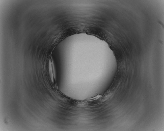 X0000097820088200804041408