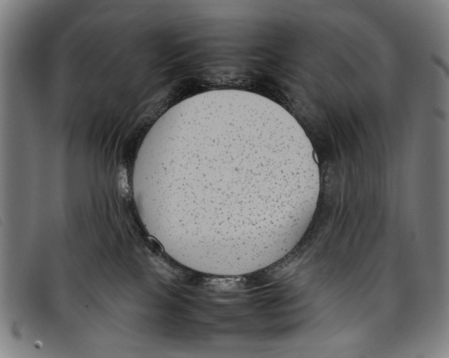 X0000097820089200804041408