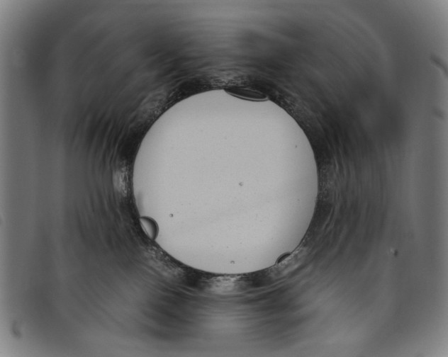 X0000097820090200804041408