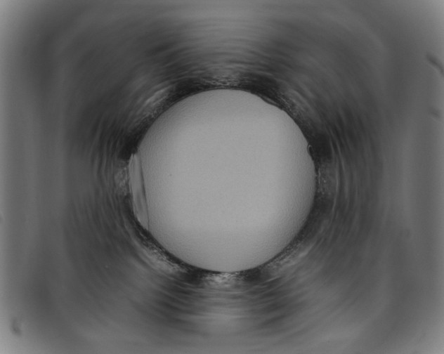 X0000097820092200804041408