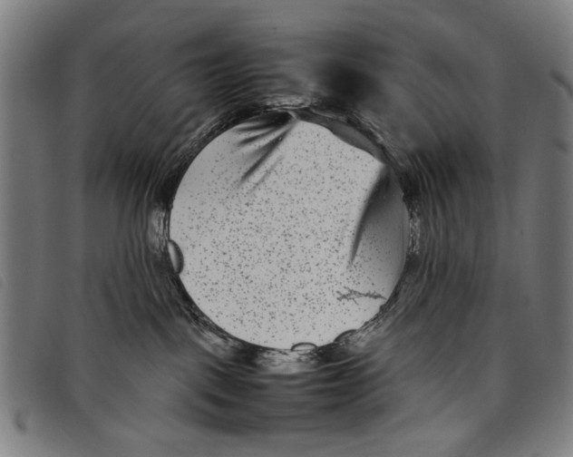 X0000097820093200804041408