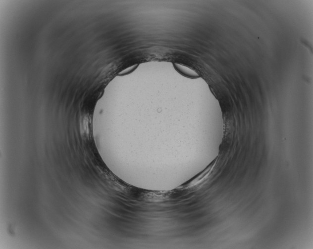 X0000097820094200804041408