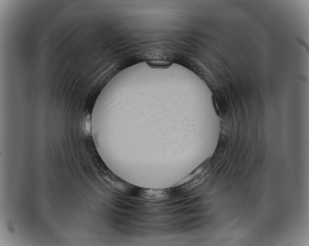 X0000097820095200804041409