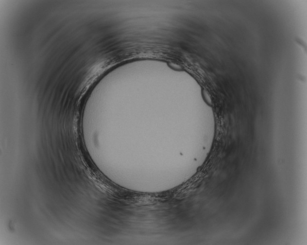 X0000097820098200804041408