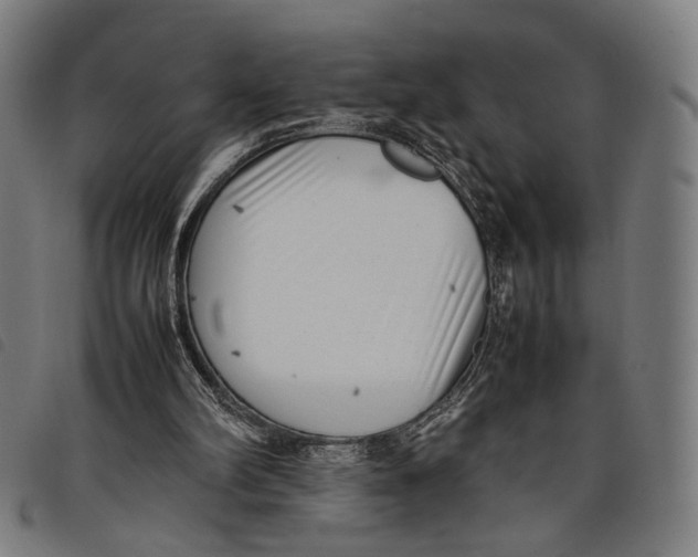 X0000097820102200804041408