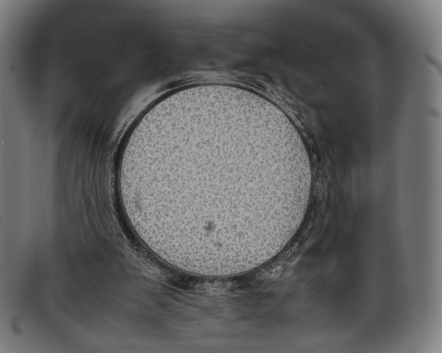 X0000097820103200804041408