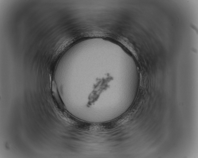 X0000097820109200804041408