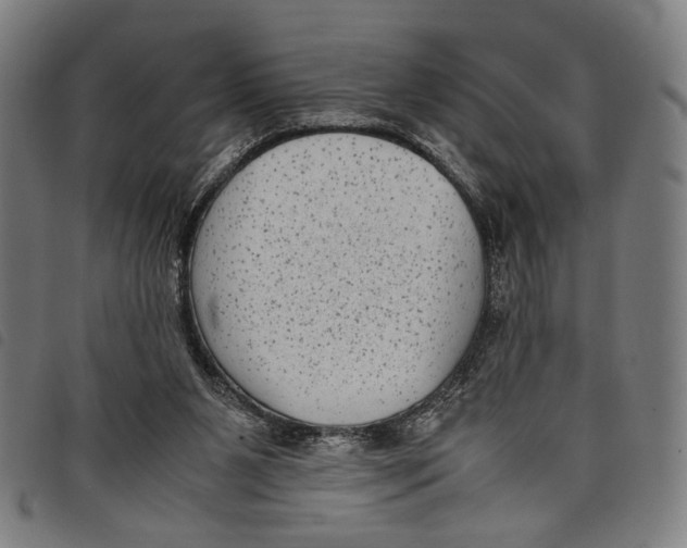 X0000097820111200804041408