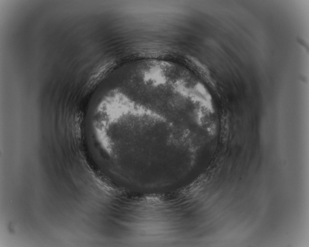 X0000097820114200804041408