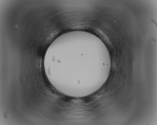 X0000097820115200804041408