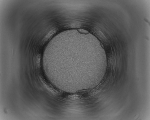 X0000097820120200804041408