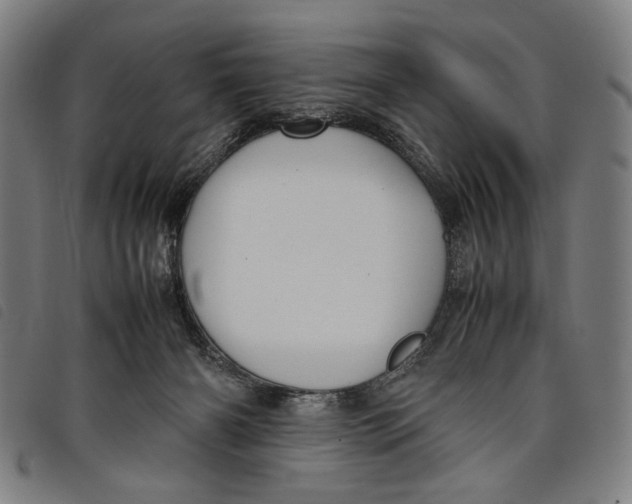 X0000097820126200804041407