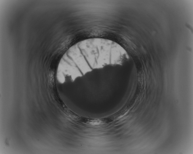 X0000097820127200804041407