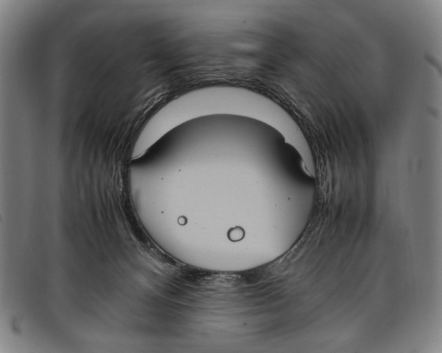 X0000097820128200804041407