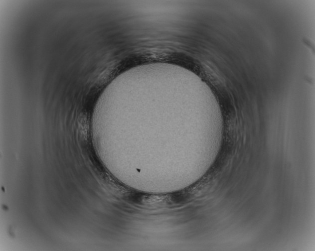 X0000097820129200804041407