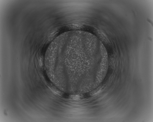 X0000097820131200804041407