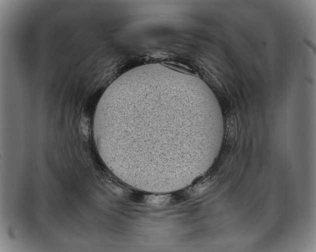 X0000097820135200804041407