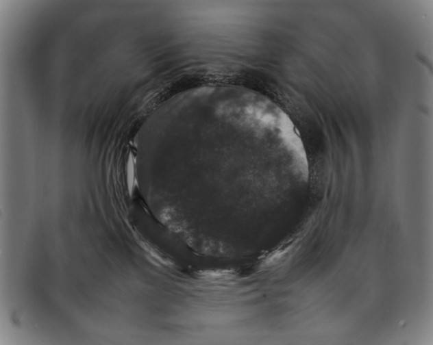 X0000097820137200804041407