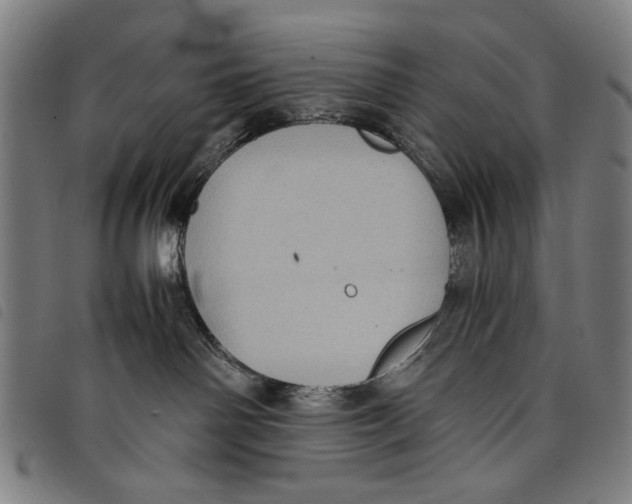 X0000097820142200804041407