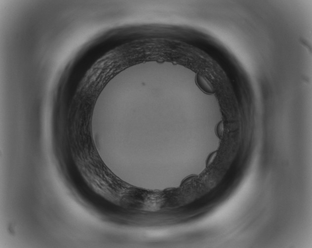 X0000097820143200804041407