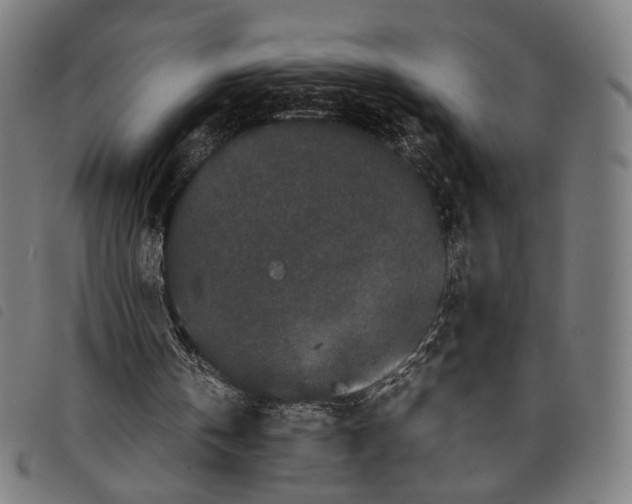 X0000097820146200804041406