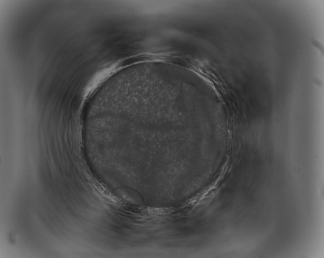 X0000097820149200804041406