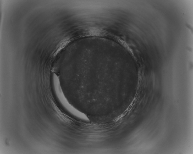 X0000097820154200804041407