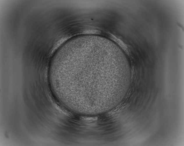 X0000097820155200804041407