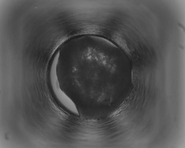 X0000097820156200804041407