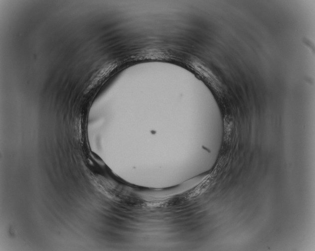 X0000097820158200804041407