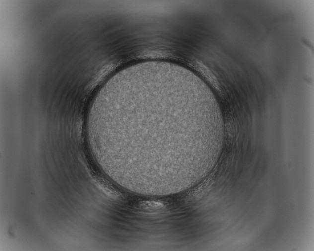 X0000097820159200804041407