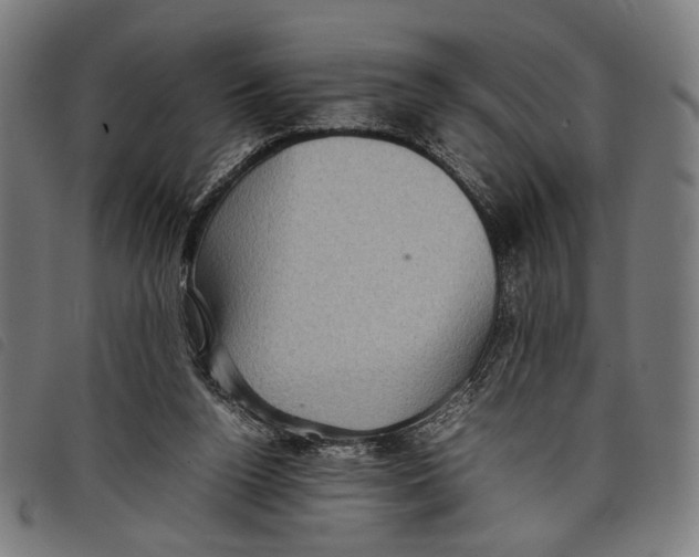 X0000097820160200804041407