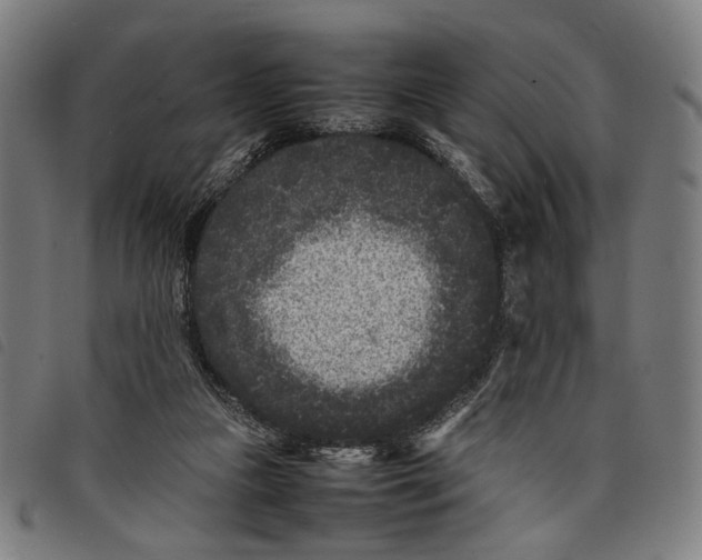 X0000097820161200804041407