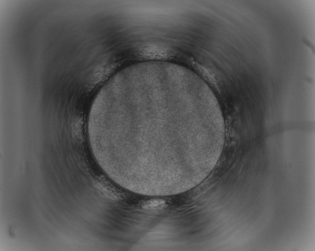 X0000097820162200804041407