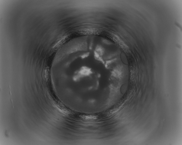 X0000097820165200804041407