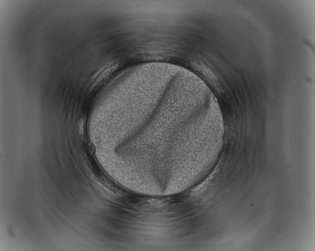 X0000097820166200804041407