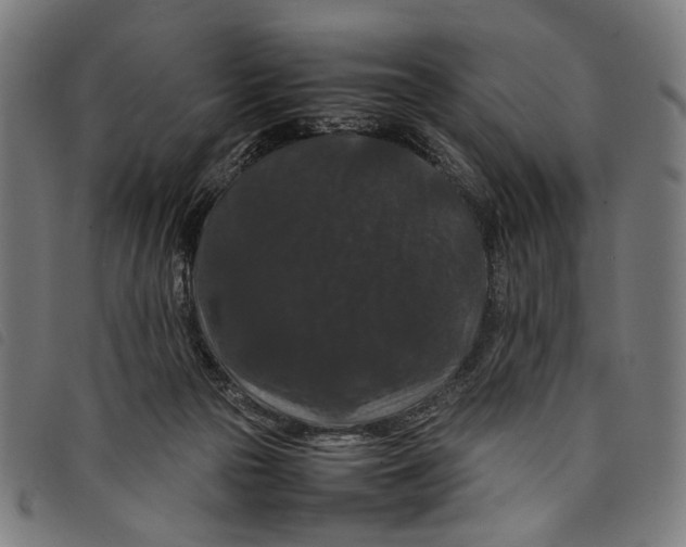 X0000097820169200804041407